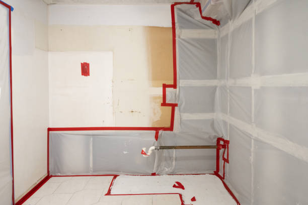 Best Mold Prevention Services  in Sterling Ranch, CO