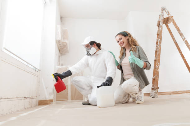 Best Mold Remediation for Healthcare Facilities  in Sterling Ranch, CO